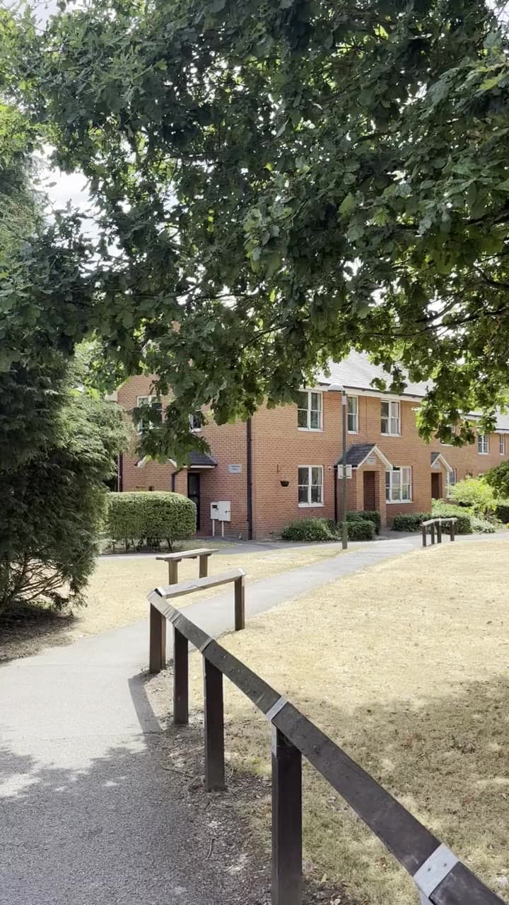 A tree-lined path past the Broadgate Park houses